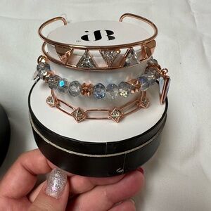 Rose Gold and Silver Women's Bracelet Set